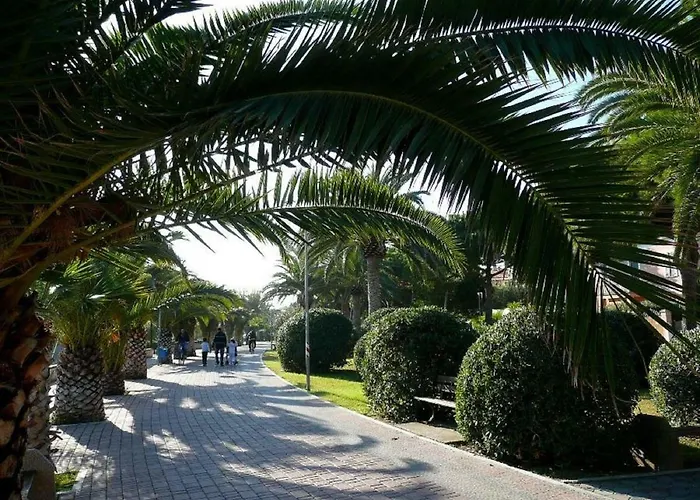 Frontemare * 托尔托雷托